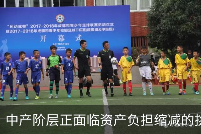 中产阶层正面临资产负担缩减的挑战